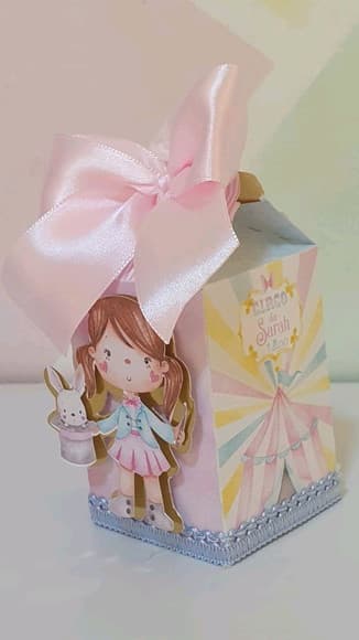 Caixa Milk Circo Rosa Luxo